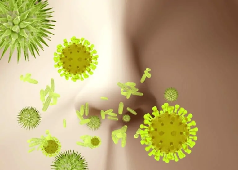 Имунна система – реакция след среща с вируси и бактерии
