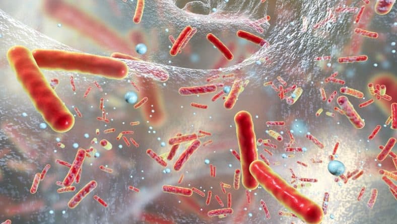 Бактериално носителство – ето какво трябва да знаете