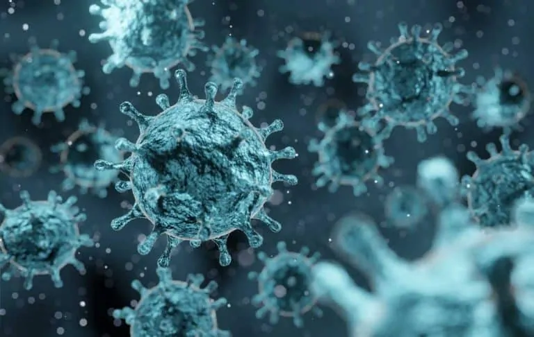 Какво е коронавирус – вижте в тази статия