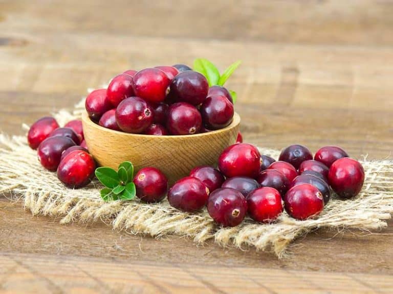 остър цистит