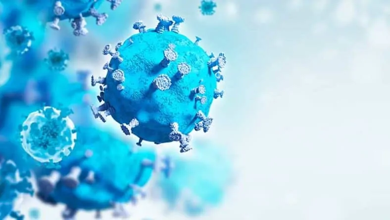 Изследване: Антитела осигуряват защита срещу коронавирус