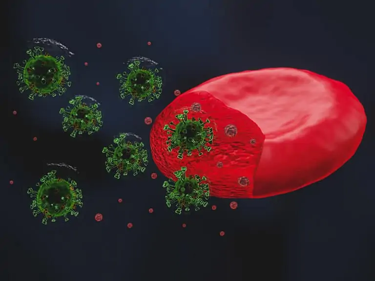 Учени: Пациенти с тежък коронавирус имат лимфопения