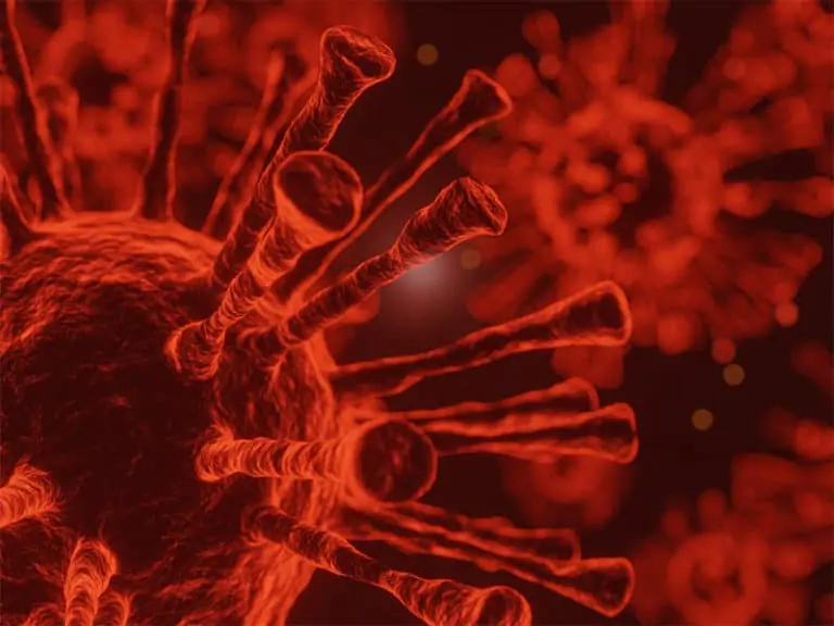Учените разкриват: ето как коронавирусът мутира
