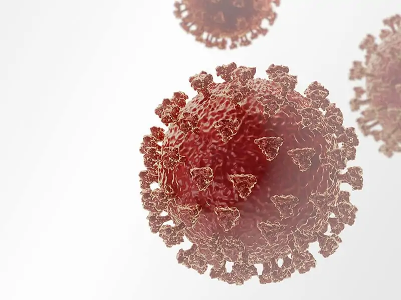коронавирус т клетки