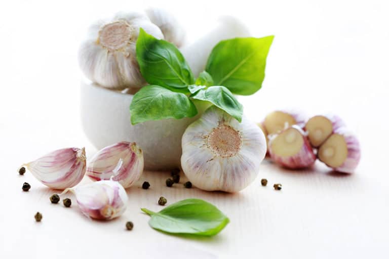 пребиотици