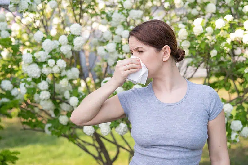 сезонна алергия