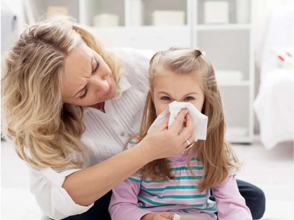 обикновена настинка