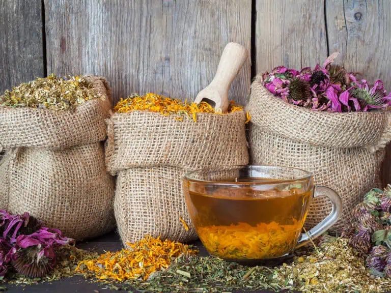 Как да подсиля имунитета си през зимата