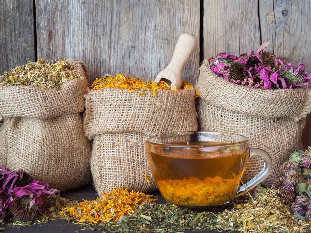 Как да подсиля имунитета си през зимата