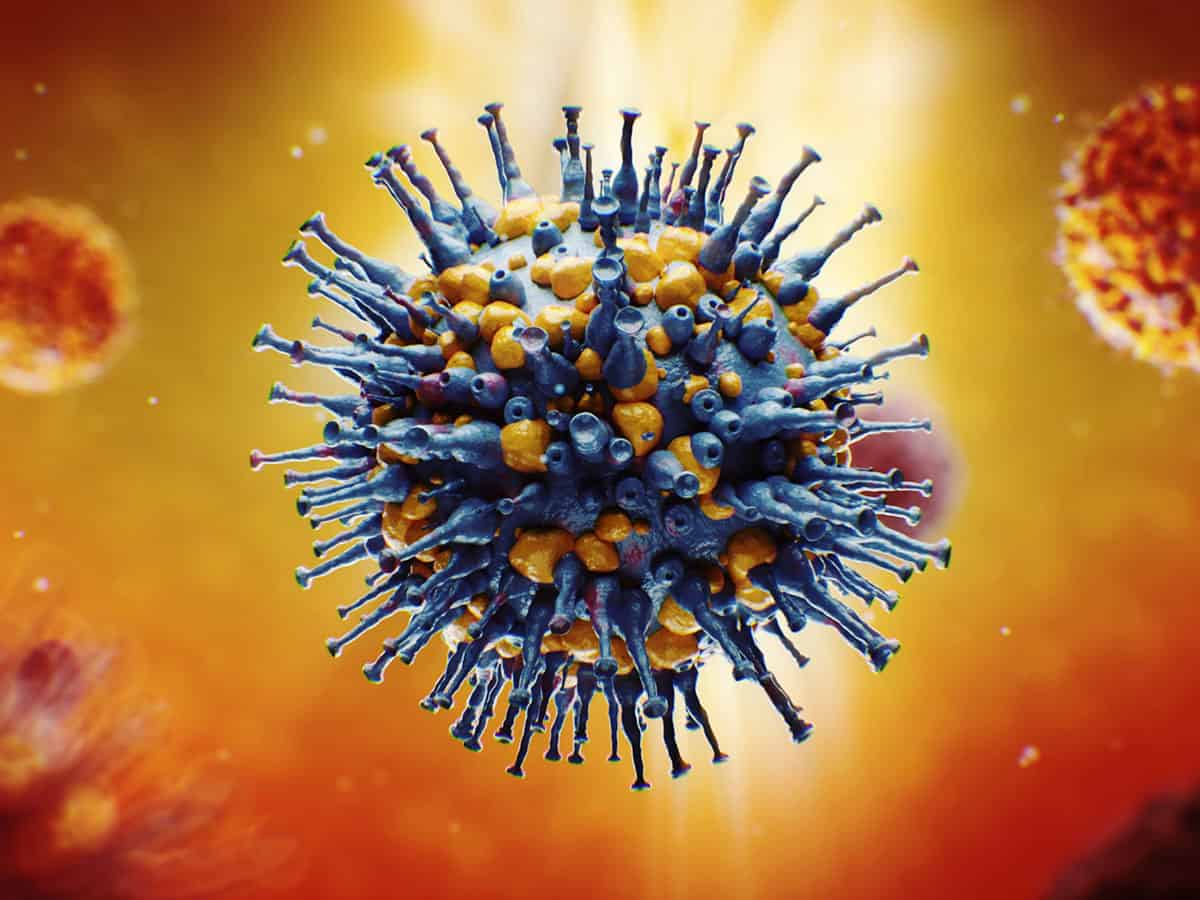 Какво е имунна памет